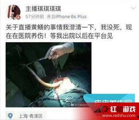 女主播黄鳝门种子