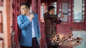 无名卫士演员表,揭秘演员阵容，实力派明星齐聚一堂